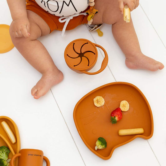 Fütterung Kinderteller